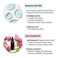 Hyaluronic Lotus Hydrating Gel Moisturizer, Pentavitin + Beet Root Extract, NMFs + Lipids, Intense Moisturization & Skin Barrier Repair