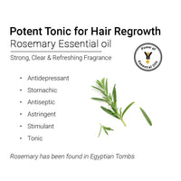 Rosemary Essential Oil, Natural Therapeutic Grade, Hair Growth, Hair Fall Control & Nourishment, Even Skin Tone 10ml - Keya Seth Aromatherapy