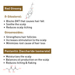 Korean Red Ginseng Hair Growth Shampoo, Blocks DHT, Pentavitin, Decyl Glucoside + Conditioners, Hydration Nourishes Hair & Scalp