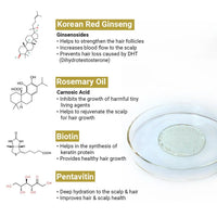 অ্যালোপেক্স অ্যাবসোলুট এবং পেন্টা অ্যাকটিভ শ্যাম্পু এর জন্য তীব্র চুল পড়া এবং নতুন চুল গজানোর চিকিত্সা কিট কোরিয়ান রেড জিনসেং দিয়ে সমৃদ্ধ