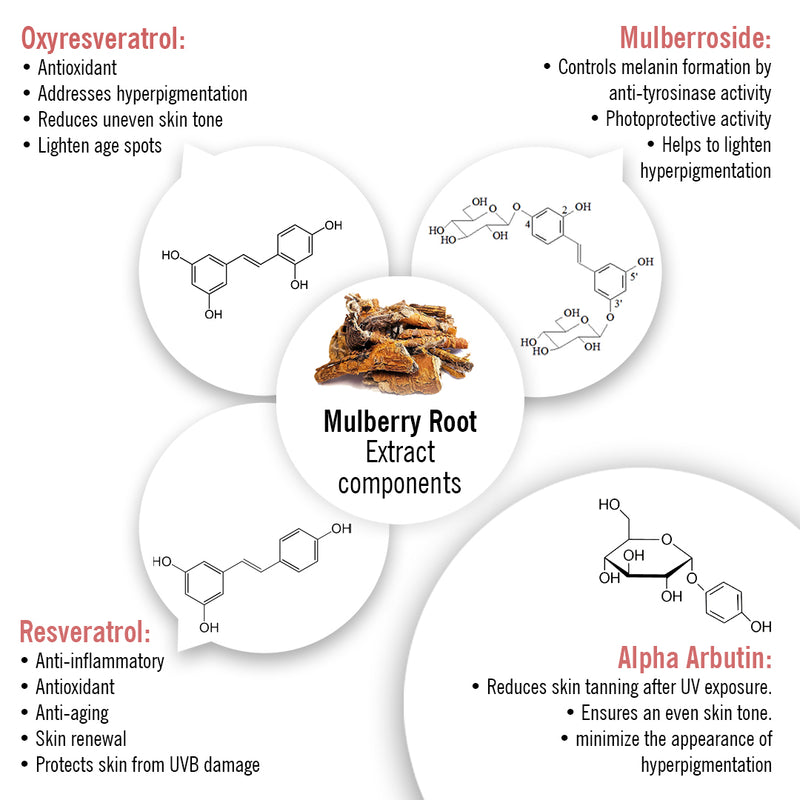 Skin Lightening Spot Serum, Daisy Flower + Alpha Arbutin + Mulberry Root, Dark Spots & Brightening, Hyperpigmentation, with Sodium Ascorbyl Phosphate