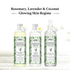 Rosemary Lavender Coconut Body Wash, Glowing Skin Moisturizing & Refreshing, Natural Coconut Derived Foaming + Conditioner, Essential Oil