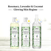 Rosemary Lavender Coconut Body Wash, Glowing Skin Moisturizing & Refreshing, Natural Coconut Derived Foaming + Conditioner, Essential Oil