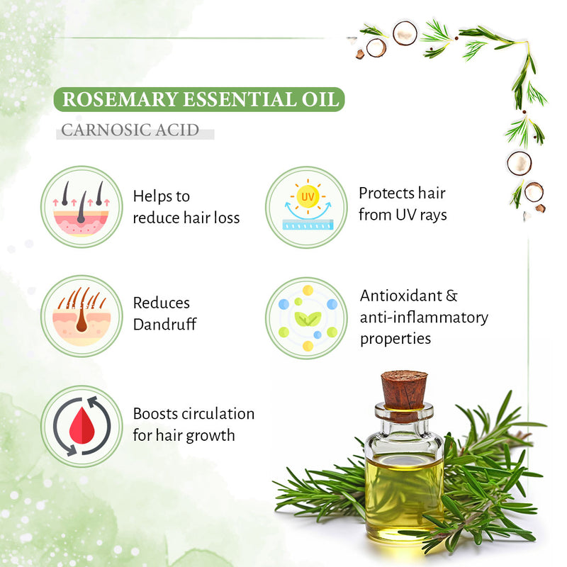 Rosemary Tea Tree Coconut Serum & Shampoo Combo: Reduces Dandruff & Scalp Itching, Hair Growth, Blocks DHT, Steam Distilled Essential Oil, Virgin Coconut Oil With Biotin Caffeine Vitamin E B5 - Keya Seth Aromatherapy