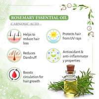 Rosemary Tea Tree Coconut Water Mist Spray,Hair Growth,Reduces Dandruff Scalp Itching & Oiliness,Steam Distilled Essential Oil - Keya Seth Aromatherapy