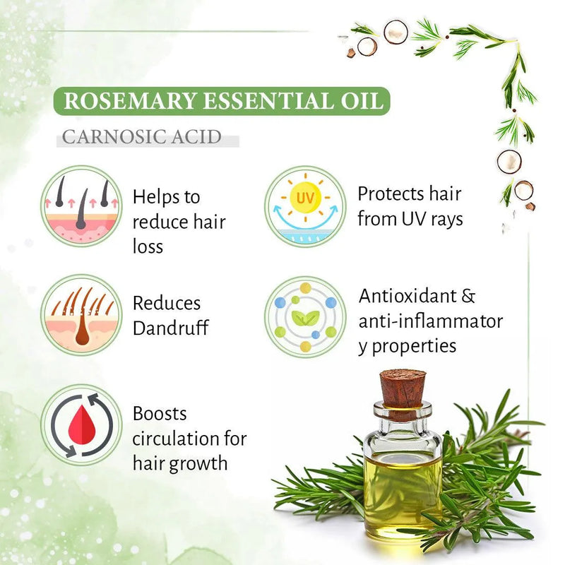 Rosemary Tea Tree Coconut Water Mist Spray,Hair Growth,Reduces Dandruff Scalp Itching & Oiliness,Steam Distilled Essential Oil - Keya Seth Aromatherapy