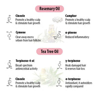 Schoolers Hair Oil for school-going Kids Girl & Boy with Rosemary & Tea Tree Oil –Strengthens & Promotes Hair Growth & Nourishes Hair Follicles - Keya Seth Aromatherapy