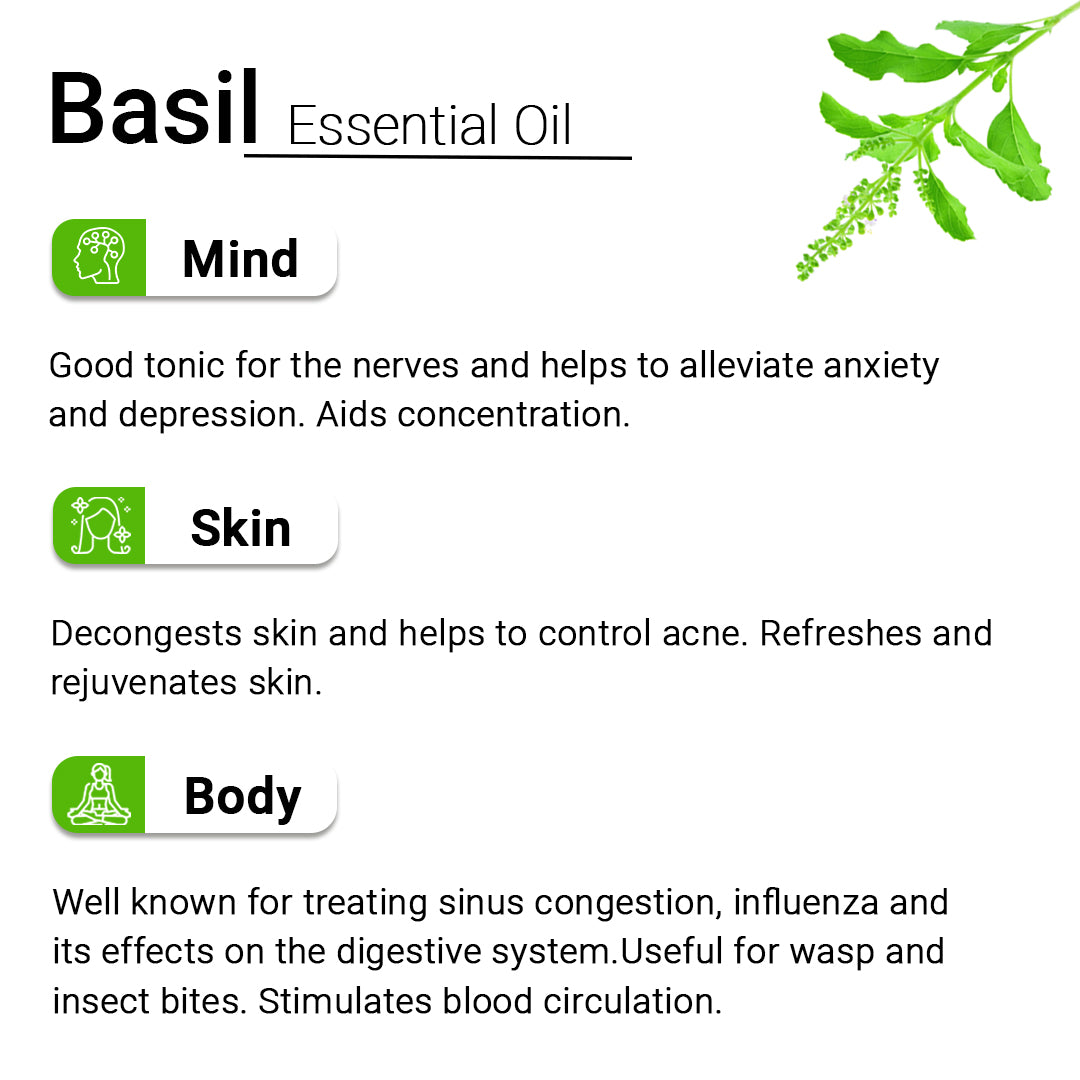 Basil Essential Oil Therapeutic Pure Natural Holy Basil