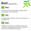 Basil Essential Oil, Therapeutic, Pure & Natural, Holy Basil (Tulsi) Spiritual Concentration, Headache, Digestive & Antiseptic 10ml - Keya Seth Aromatherapy