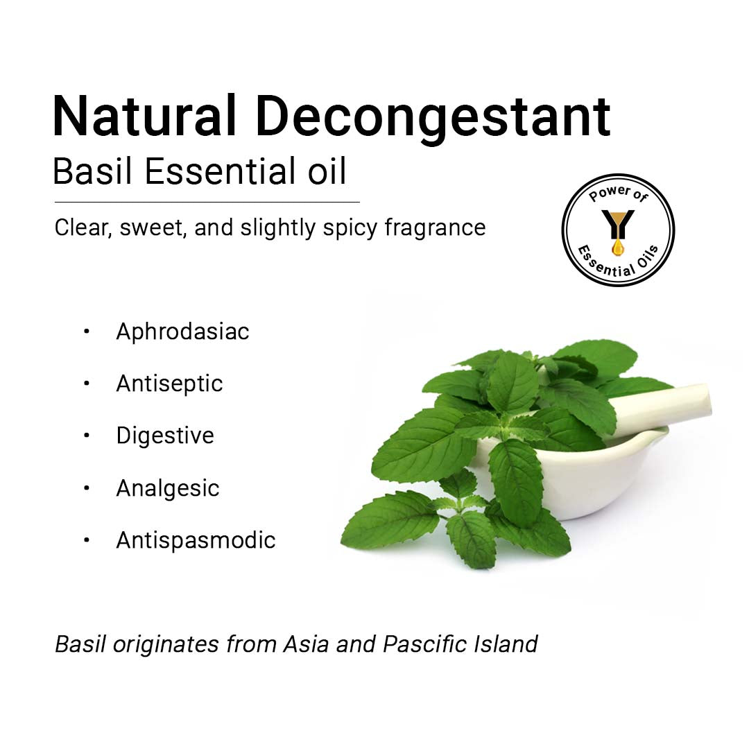 Basil Essential Oil Therapeutic Pure Natural Holy Basil Tulsi Spiritual Concentration Headache Digestive Antiseptic 10ml